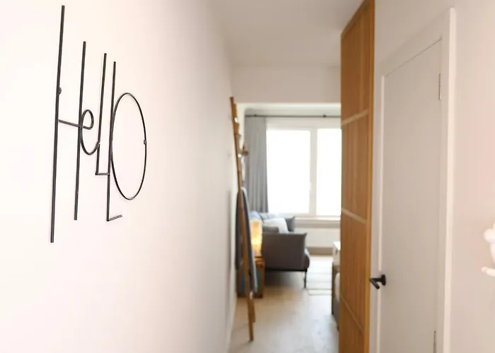 Met Zeezicht 公寓 奥斯滕德